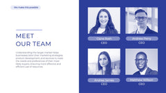 Iconic Startup Business Plan Presentation slide 15
