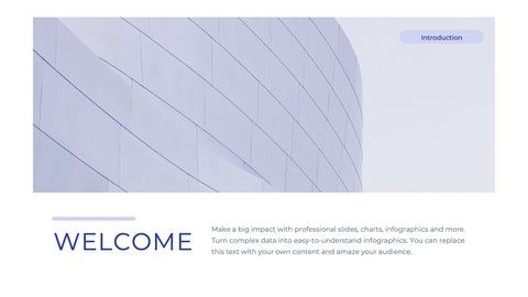 Iconic Startup Business Plan Presentation