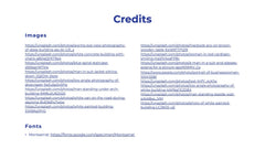 Iconic Startup Business Plan Presentation slide 20