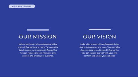 Iconic Startup Business Plan Presentation