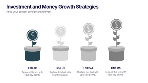 Investment and Money Growth Strategies Presentation