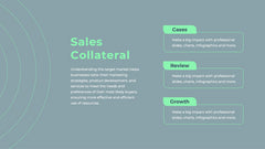 Javelin Sales Strategy Presentation slide 13