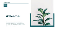 Juno Brand Guidelines Proposal Presentation slide 2
