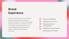 Kaleidoscope Brand Strategy Report Presentation slide 17