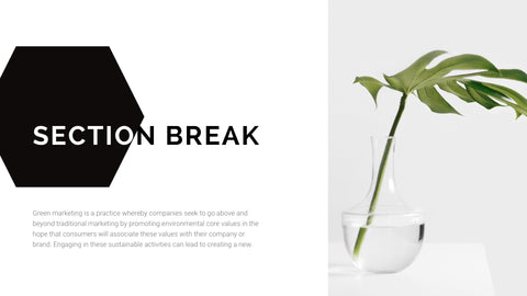 Kunzite Minimal Presentation Template