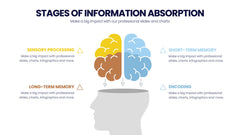 Learning Infographics slide 3