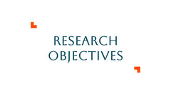 Luminous Qualitative Research Findings Presentation slide 3