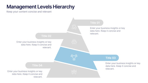 Management Levels Hierarchy Presentation