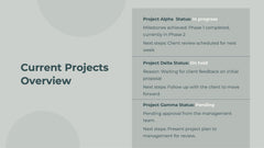 Maverick Business Plan Presentation slide 6