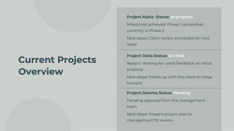 Maverick Business Plan Presentation