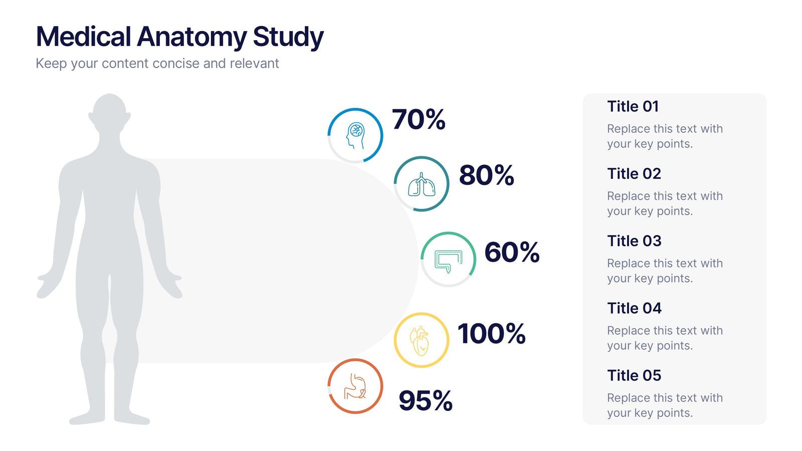 Medical Anatomy Study Presentation