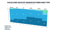 Mekko Chart Infographics slide 20
