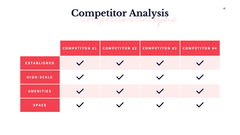 MVP Startup Presentation Template