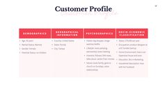 MVP Startup Presentation Template