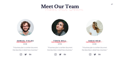 MVP Startup Presentation Template