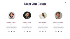 MVP Startup Presentation Template