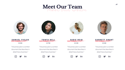 MVP Startup Presentation Template