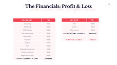MVP Startup Presentation Template