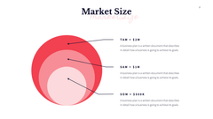 MVP Startup Presentation Template