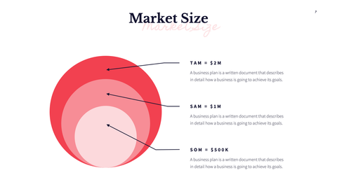 MVP Startup Presentation Template