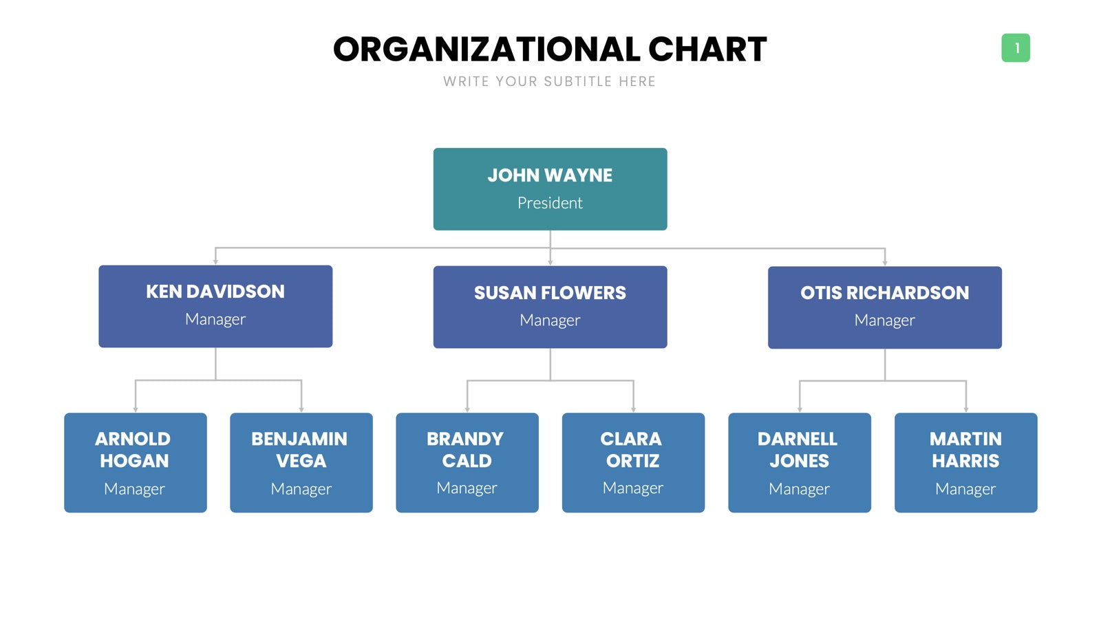 Org Chart Infographics