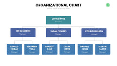 Org Chart Infographics