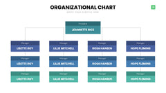 Org Chart Infographics slide 10