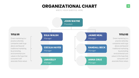 Org Chart Infographics