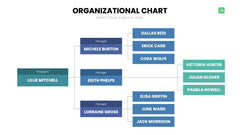 Org Chart Infographics slide 13