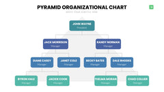 Org Chart Infographics slide 14