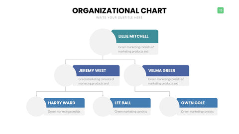 Org Chart Infographics
