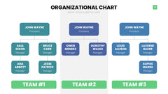 Org Chart Infographics slide 17