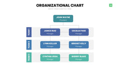 Org Chart Infographics slide 20