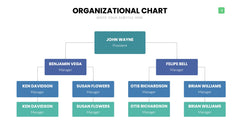 Org Chart Infographics slide 3