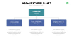Org Chart Infographics slide 4