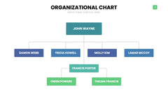 Org Chart Infographics slide 7