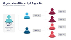Organizational Hierarchy Infographic Presentation