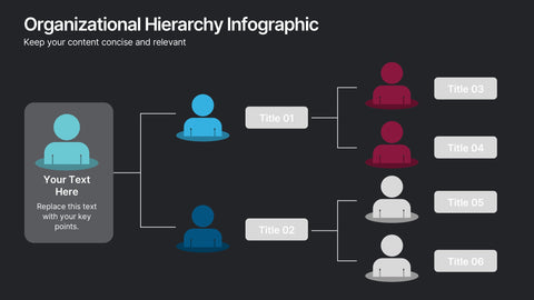Organizational Hierarchy Infographic Presentation