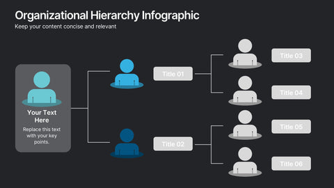 Organizational Hierarchy Infographic Presentation