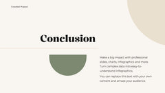 Professional Presentation slide 13