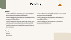 Professional Presentation slide 16