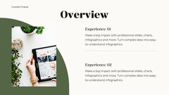 Professional Presentation slide 4