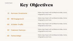 Professional Presentation slide 7