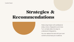 Professional Presentation slide 8