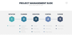 Project Management Infographics