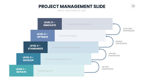 Project Management Infographics for Status & Planning