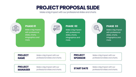 Project Proposal Infographics