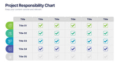 Project Responsibility Chart Presentation slide 5