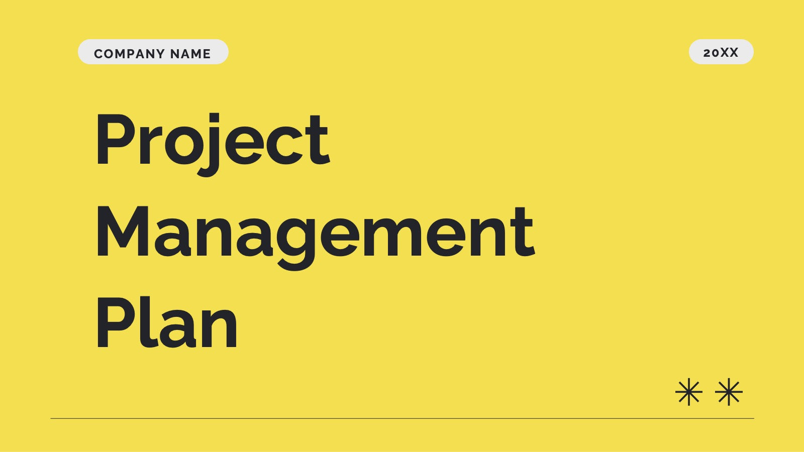 Pulse Project Management Plan Presentation