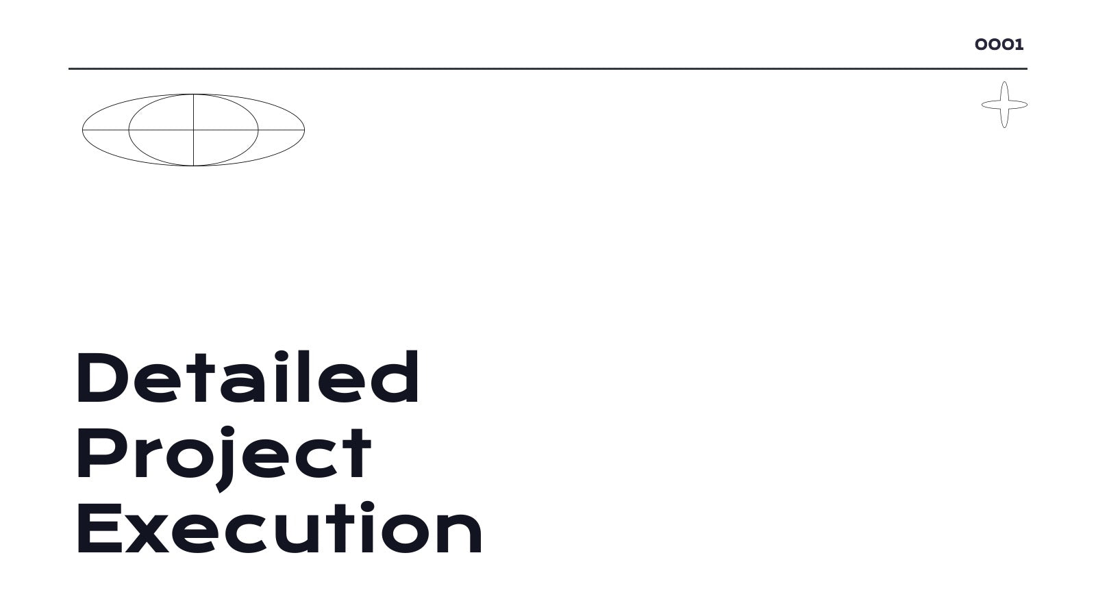 Radiance Detailed Project Execution Plan Presentation